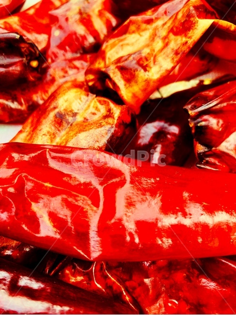고추,red,시골,빨강,색감,감성,자연