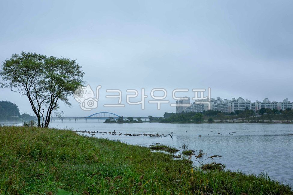 춘천,소양강,강변풍경,의암호,소양호,장학리,자연,nature,water,호수,강변