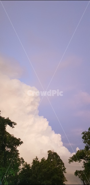 자연,나무,구름,하늘,노을,nature,outdoors,cloud,tree,sky,sunset