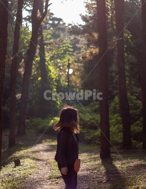 숲,소녀,forest,산책,가을,walk,가로등,unknown,여아,여자아이,girl,female,kid,child,hiking,mountain,hill,evening,trees,자연,풍경,nature,landscape,사람,인물,인간,human,person,어린이,어린아이,child,children,kid,light,빛,flare,플레어