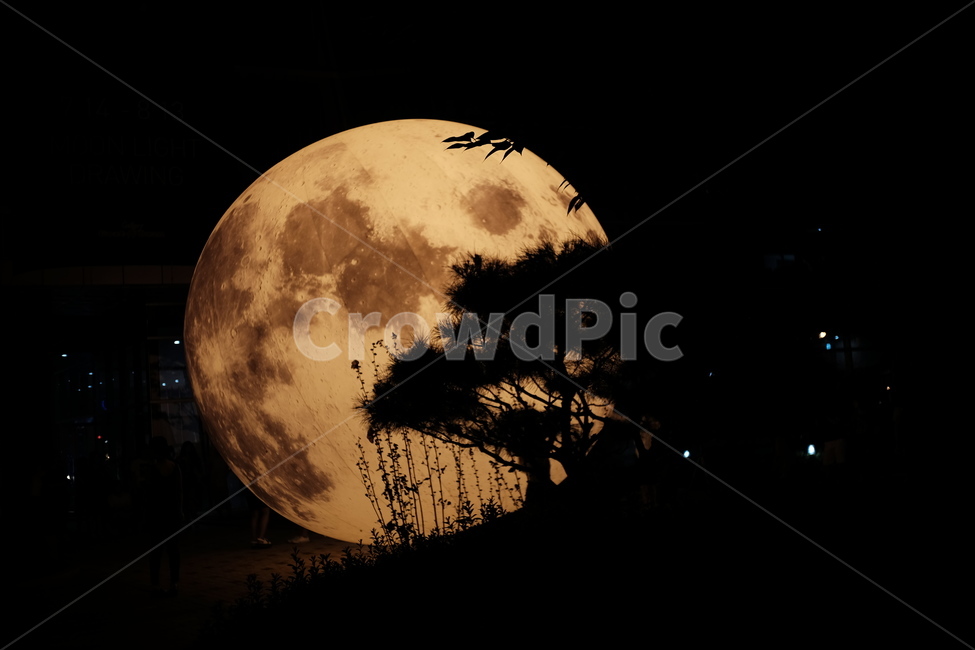 달,moon,moonlight,moonphoto,보름달,fullmooon,야경,밤,풍경,nightscape,night,landscape