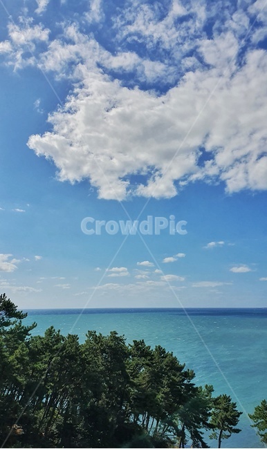 바다,나무,구름,수평선,해안선,물,자연,sea,ocean,nature