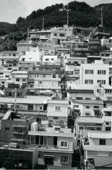 골목풍경,마을풍경,도시풍경,시골,감천문화마을,건축,골목길,고독함,클래식,흑백사진,도시,풍경,city,landscape,흑백,모노톤,monochrome,black and white,urban,어반,building,건물,neighborhood,이웃