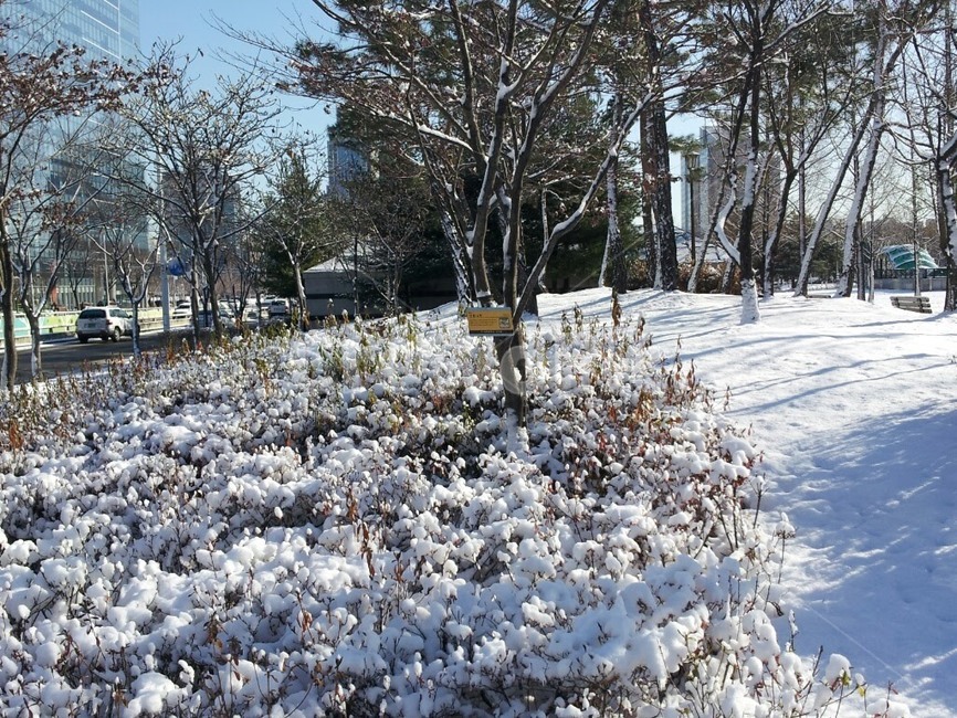 겨울눈,설경,겨울배경,폭설,눈길,겨울,계절,winter,season,자연,풍경,nature,landscape