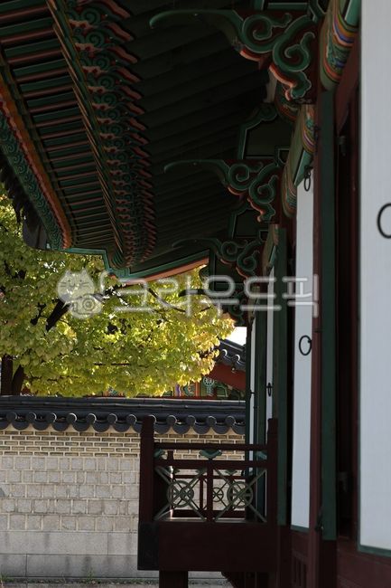 창덕궁,궁궐,단풍,기와,한국전통,가을,한옥,가을풍경,은행나무,고풍,한지,문고리,담,나무,단청,마루
