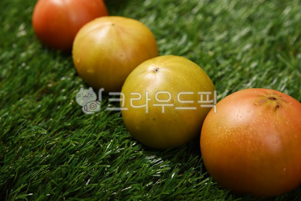 Tomato Dishes,fruit,tomato,vegetable,food
