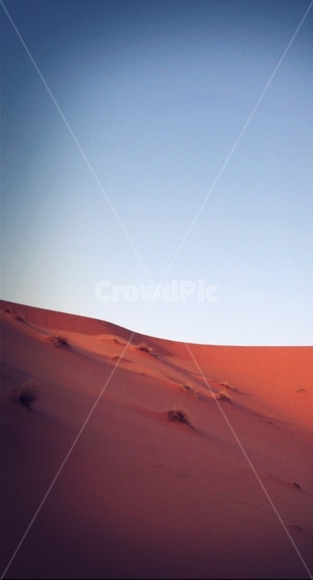 사막,사하라,풍경,여름,모로코,desert,sahara,morocco,summer,자연,풍경,nature,landscape,해외,외국,세계,foreign,oversea,world,세계자연풍경,해외자연풍경,외국자연풍경,world nature landscape,soil,흙,sand,모래,outdoors,옥외,dune,모래 언덕