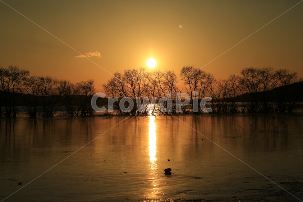 노을,일몰,탑정호,호수,논산,반영,해,sunset,풍경,landscape,자연,풍경,nature,landscape,outdoors,옥외,sunlight,햇빛