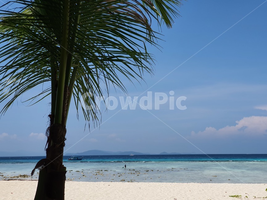 summer,여름,tropical,열렬한,바다,sea,해변,바다,beach,sea