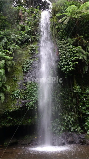 폭포,fall,물,water,nature,자연,숲,열대,식물,롬복,인도네시아,린자니산,린자니