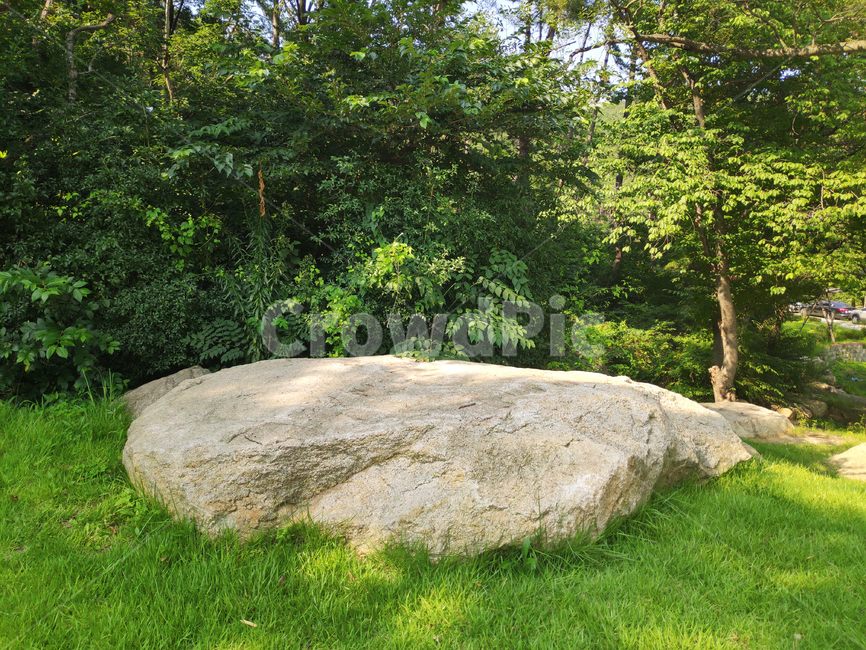 잔디,식물,바위,grass,plant,rock