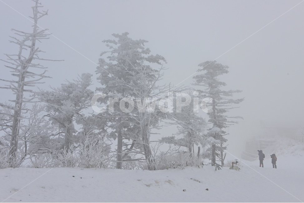 person,사람,human,인간,전북,무주,설천봉,상고대,상제루,mountainrange,산맥,winter,겨울,blizzard,눈보라,storm,폭풍,nature,자연,outdoors,옥외,ice,빙,snow,눈,mountain,산,겨울,계절,winter,season,자연,풍경,nature,landscape