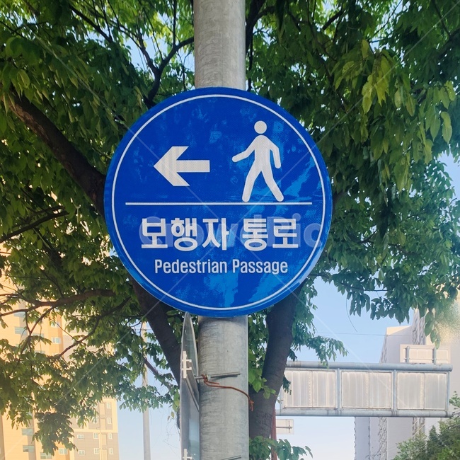 보행자통로,도로표지판,roadsign,기호,sign