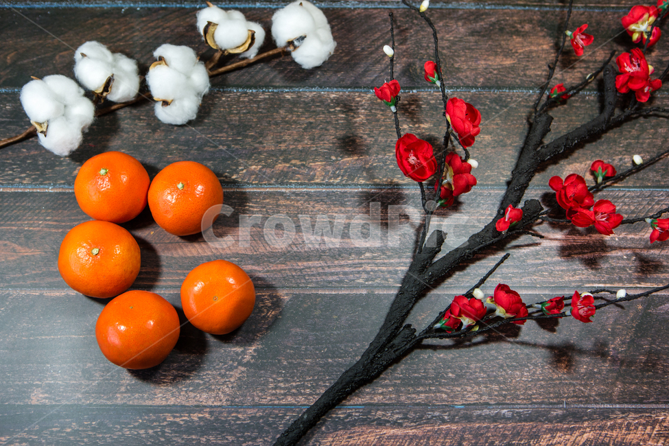 설날,명절,설,복,매화,귤,식물,자연,plants,nature,꽃,flower,과일,열매,fruit