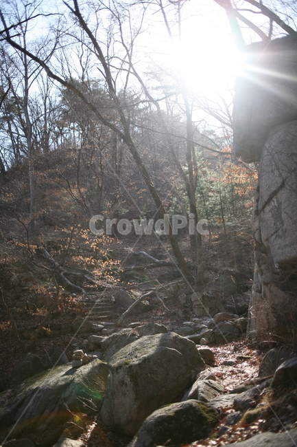 나무,풍경,tree,북한산,산,mountain,forest,숲