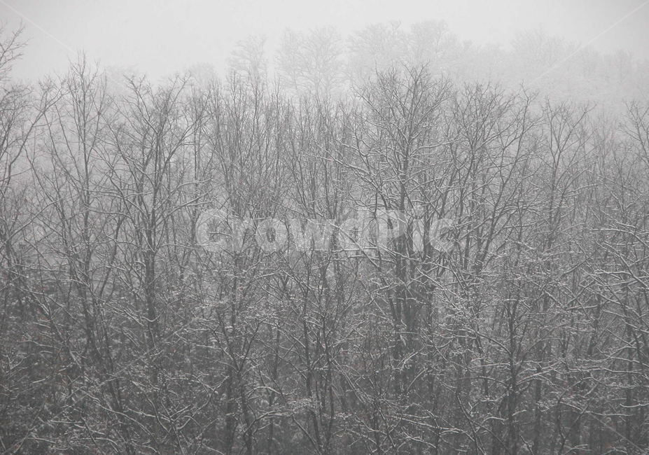 눈,산,겨울,풍경,겨울산,겨울,계절,winter,season