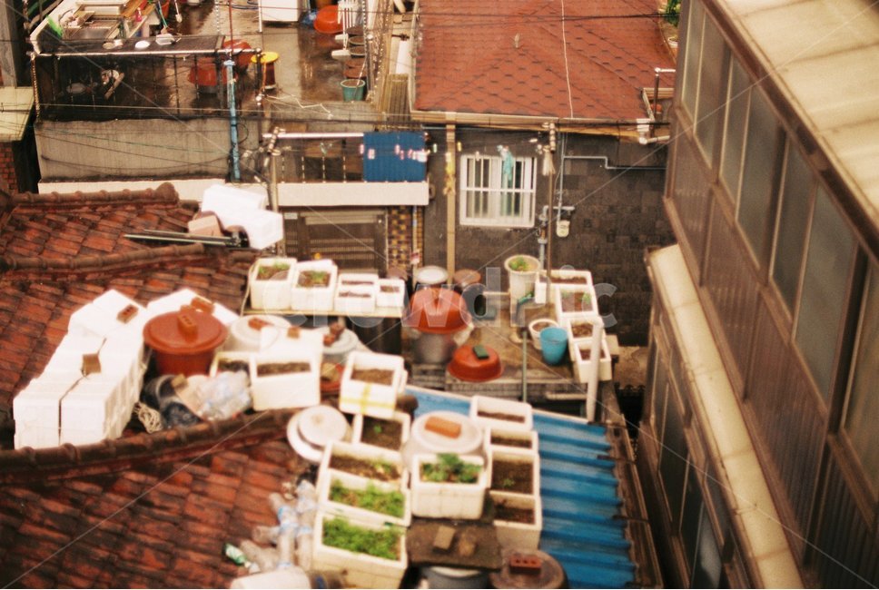 옥상,마을,동네,주택,장독,도시,풍경,city,landscape,감성,sensible,feeling