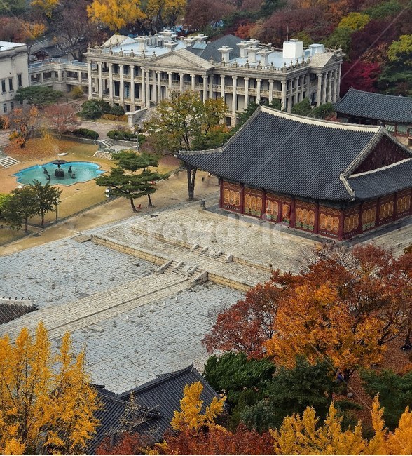 덕수궁,가을,자연,traditional,korea,한국전통,한국문화,korean traditional,korean culture