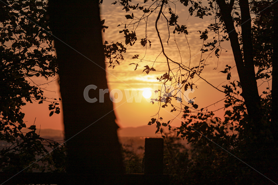 노을,해질녘,일봄,햇빛,나무,역광,자연,풍경,nature,landscape
