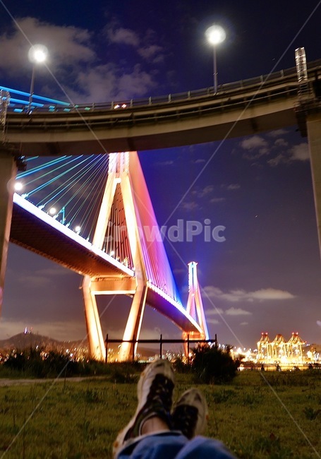 다리,야경,휴식,밤,부산,야경,밤,풍경,nightscape,night,landscape,건축물,건물외관,exterior,building,structure,architecture,construction