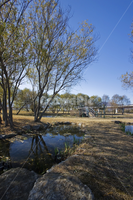 풍경,푸른,휴식,맑음,시원한,공원,산책,nature,자연,land,나라,outdoors,옥외,water,물,marsh,습지,swamp,늪,개울,흔들림,나무