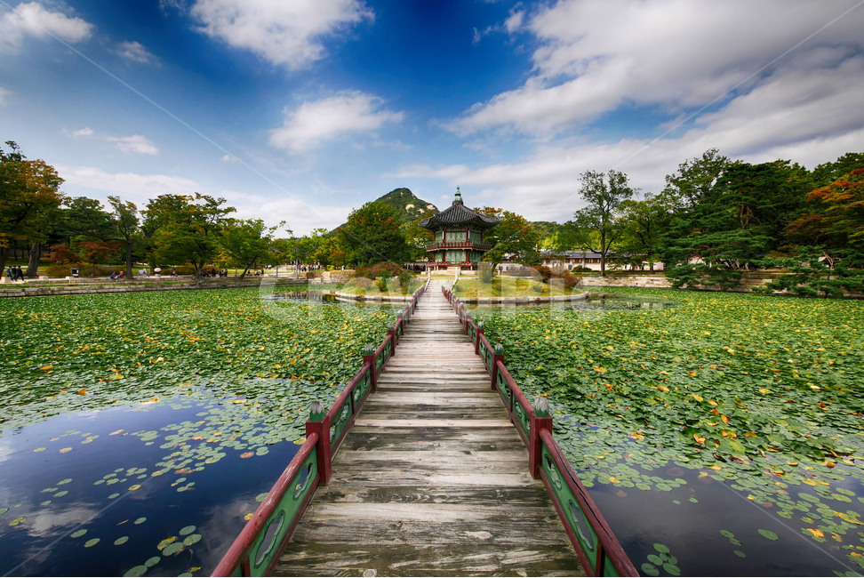 경복궁,향원정,고궁,전통,풍경,하늘,구름,자연,풍경,nature,landscape,한국자연풍경,한국자연경관,korea nature landscape,한국전통,한국문화,korean traditional,korean culture,랜드마크,landmark,tourist attraction,한국랜드마크,한국관광지,한국명소,korea landmark,korea tourist attraction,건축물,건물외관,exterior,building,structure,architecture,construction,water,물,outdoors,옥외,건물