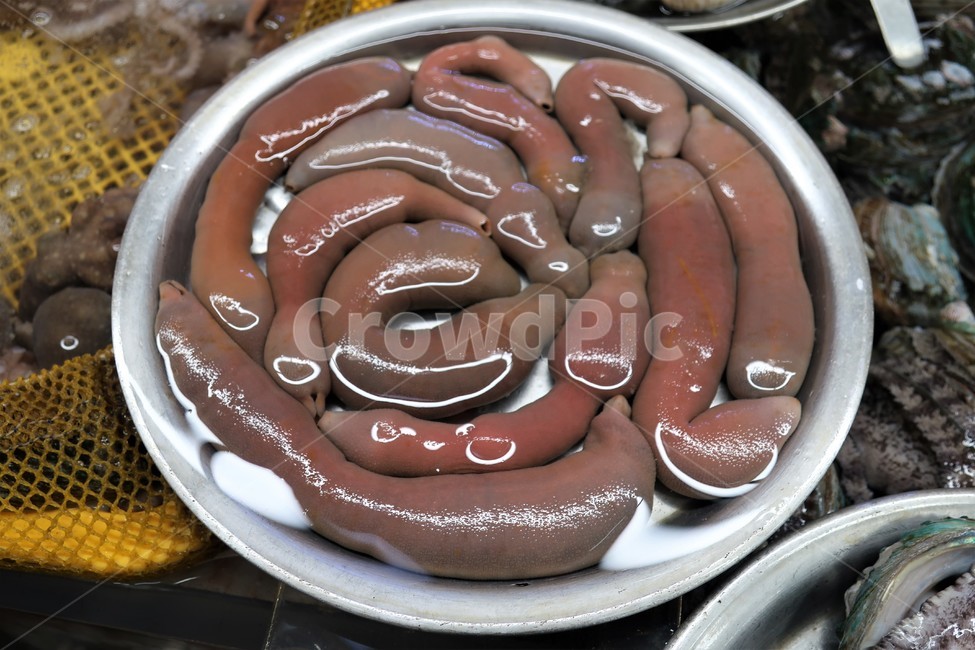 개불,수산물,해산물,수산시장,판매,진열,자연산,해물,식재료,신선한,싱싱한,시장,마트,마켓,market,mart,market place,음식,식재료,요리,food,cook,meal,dishes,food reserves,수산물,해산물,fishery products,seafood