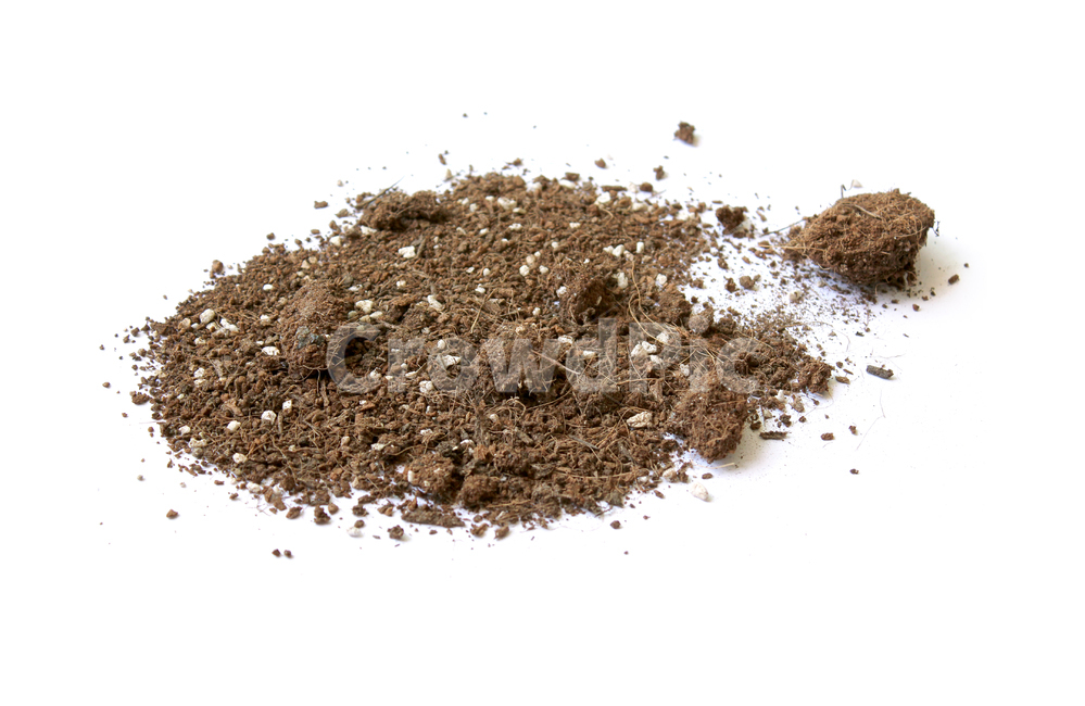 흙,모래,soil,sand,soiltexture,덩어리,탑앵글,흰배경,누끼,가루,흙가루,모래가루,갈색,브라운,텍스춰,건조한,black,botany,brown,closeup,compost,dark,dirt,dirty,dry,dust,grain,heap,humus,ingredient,macro,mineral,nobody,object,organic,path,powder,splash,spray,texture,topview,toxic,뿌린,누끼,remove background
