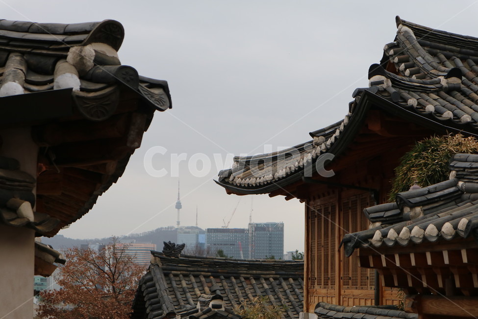 북촌,한옥,한옥마을,남산,풍경,서울,명소,관광지,한국전통,한국문화,korean traditional,korean culture,건축물,건물외관,exterior,building,structure,architecture,construction