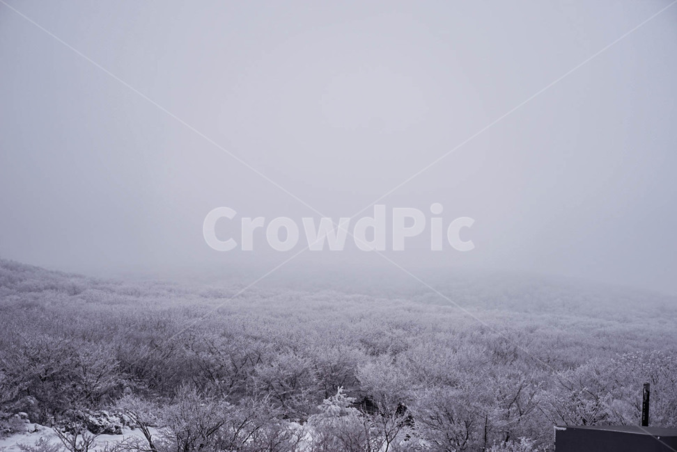 겨울,설산,눈,풍경,눈꽃,겨울,계절,winter,season,자연,풍경,nature,landscape,outdoors,옥외,weather,날씨