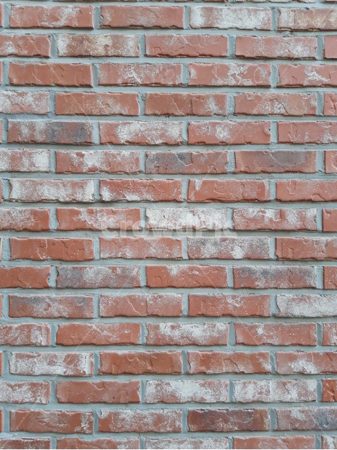 pattern,brick,벽돌,wall,벽,패턴,텍스처,질감,패턴,texture,pattern
