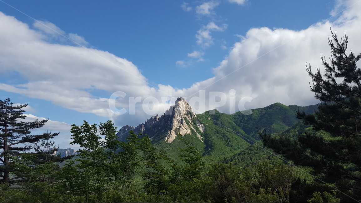경치,구름,천사의날개,천사,날개,angel,landscape,자연,풍경,nature,landscape,한국자연풍경,한국자연경관,korea nature landscape,outdoors,옥외,tree,나무,plant,식물,mountain range,산맥,mountain,산,abies,아비,fir,전나무