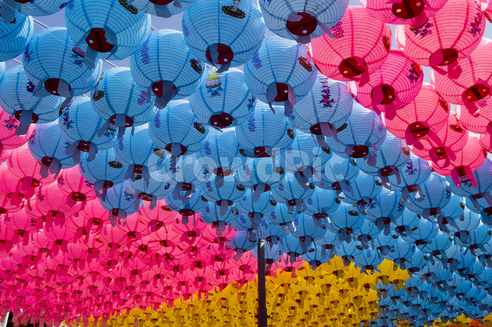 연등,팔공산,풍등,절,동화사,lotuslanttern,종교,신앙,religion,belief,faith,축제,행사,festival,carnival,event