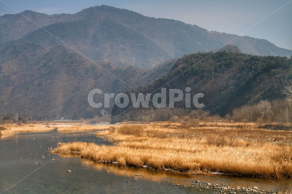 겨울풍경,나무,평창,산,강,푸른하늘,갈대,얼음,자연,풍경,nature,landscape,한국자연풍경,한국자연경관,korea nature landscape,outdoors,옥외,land,땅,water,물