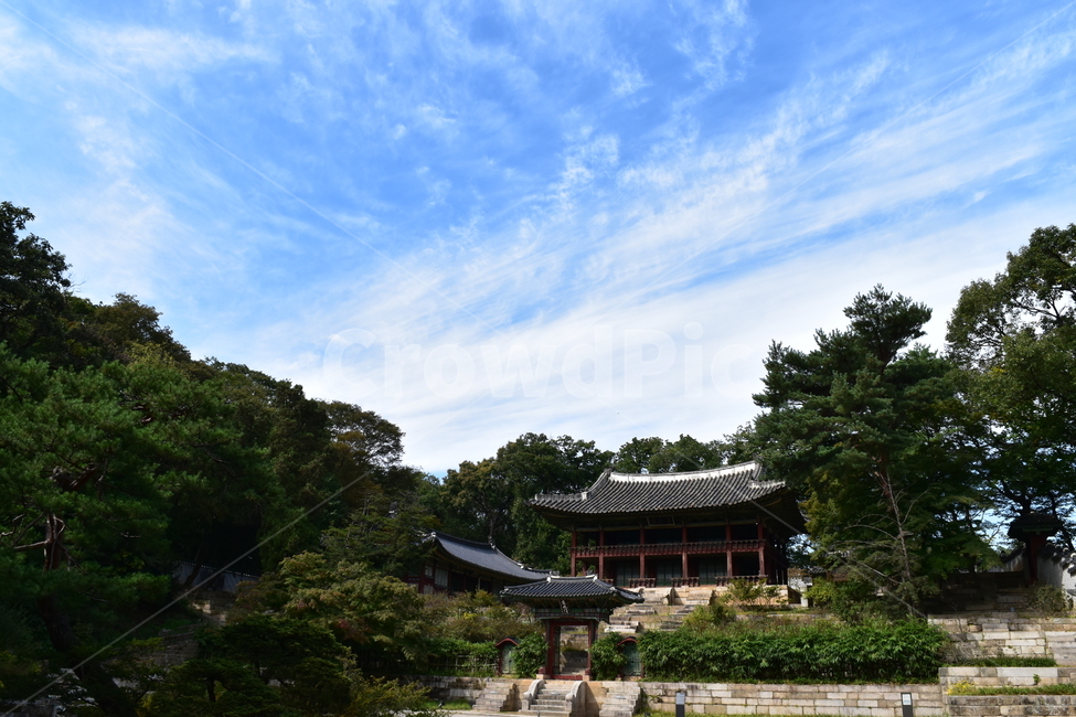 궁궐,비원,창덕궁비원,전통건물,세계문화유산,기와,전통,역사,한옥,하늘,푸른,한국전통,한국문화,korean traditional,korean culture