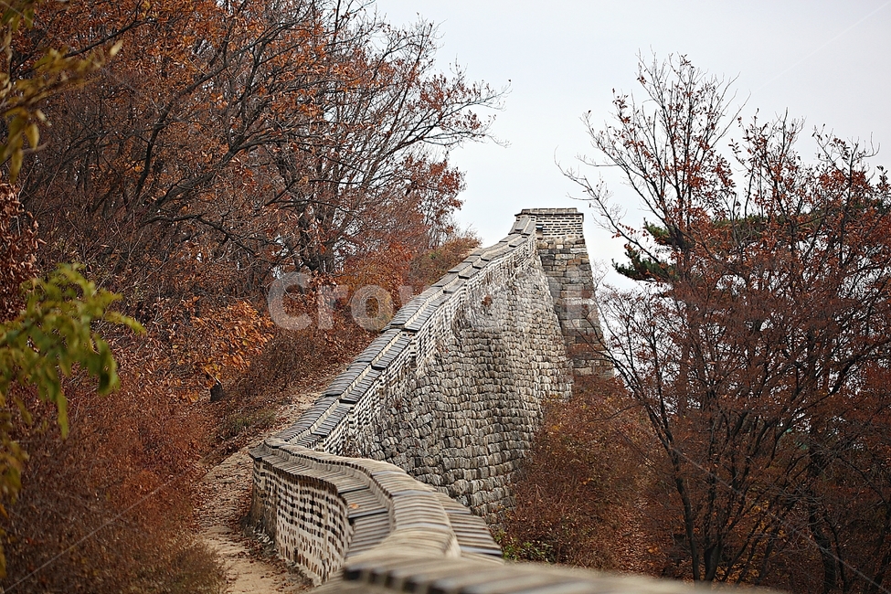 남한산성,성,성곽,단풍,낙엽,길,둘레길,담,돌담,가을,자연,풍경,벽,울긋불긋,산성,식물,가을,계절,fall,autumn,season