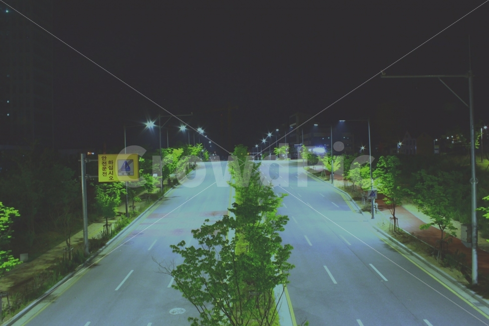 밤,감성,가로수,가로등,야경,풍경,산책,도로,새벽,야경,밤,풍경,nightscape,night,landscape,교통,교통수단,traffic,transportation,road,asphalt,아스팔트