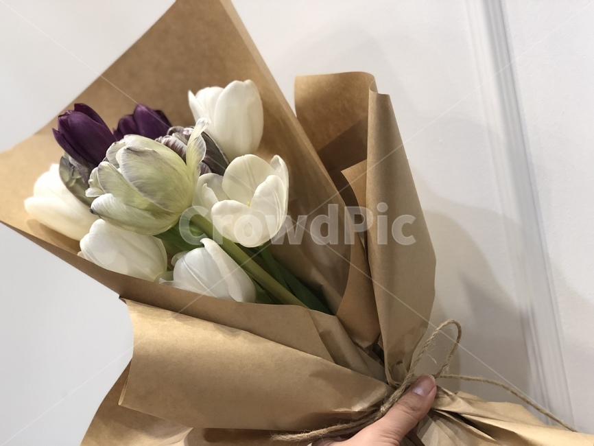 툴립,봄꽃,플라워,감성,감성사진,꽃다발,플라워클래스,꽃꽂이,취미생활,취미,튤립꽃다발,튤립다발,꽃,flower,기념일,축하,anniversary,congratulation,celebrate,celebration