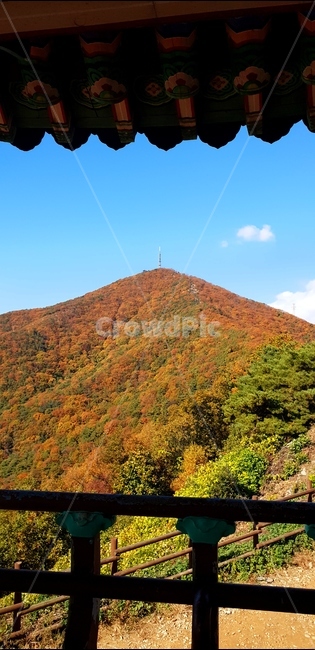 산,단풍,하늘,fall,가을,계절,autumn,season,가을,계절,fall,autumn,season,nature,자연,outdoors,옥외,hill,언덕