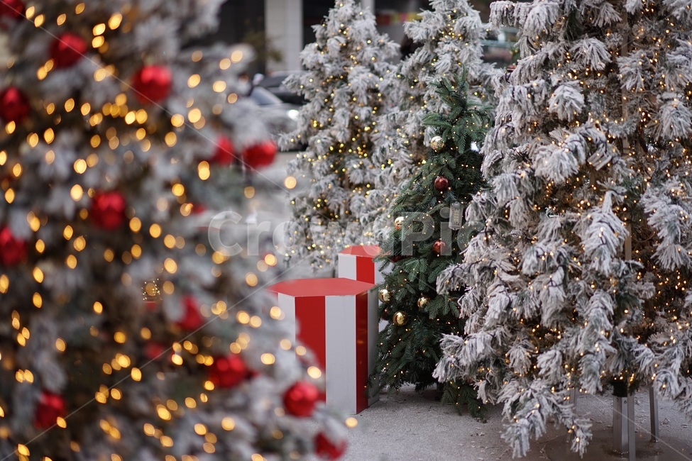 트리,크리스마스트리,겨울,연말,xmas,메리크리스마스,성탄절,merry christmas