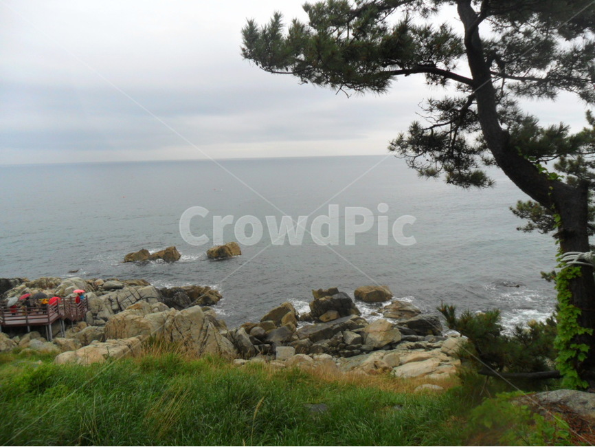 바다,sea,나무,tree,식물,바위,rock,수평선,horizon,자연,풍경,nature,landscape,한국자연풍경,한국자연경관,korea nature landscape,promontory,곶