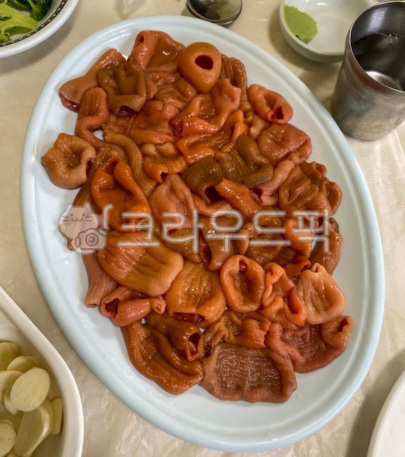 개불, spoonworm, 해산물, seafood, food, 사진,이미지,일러스트,캘리그라피 - Eliot작가