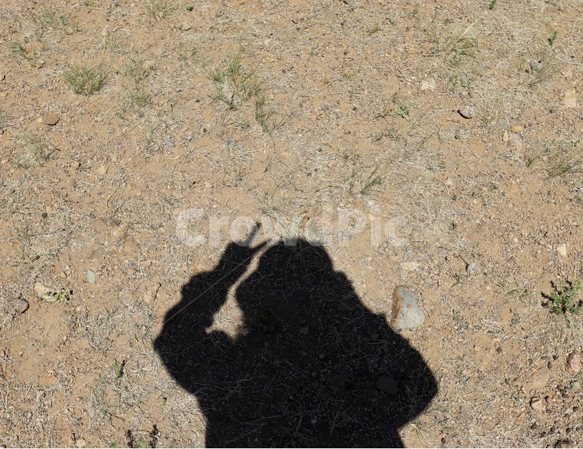 그림자,shadow,ground,바닥,road,도로,dirtroad,흙길,gravel,자갈,대비,contrast