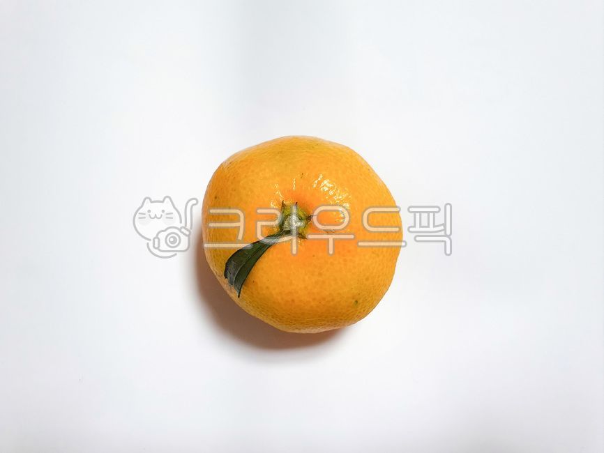 과일, 귤, 감귤, tangerine, fruit, 사진,이미지,일러스트,캘리그라피 - HAPPY RICH작가
