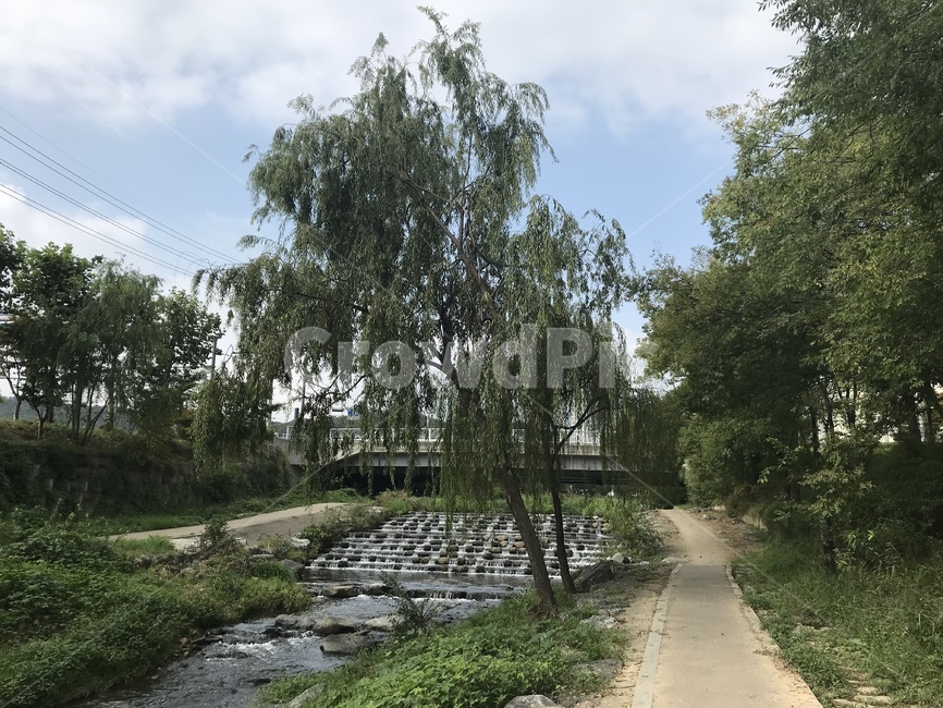 산책,자연,하천,나무,하늘,날씨,구름,물,자연,풍경,nature,landscape