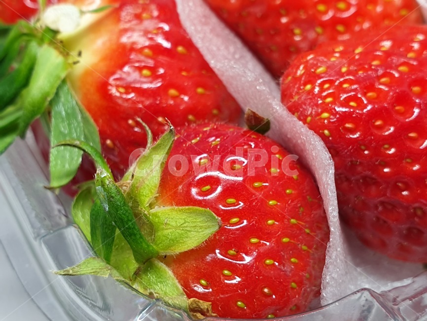 딸기,과일,strawberry,스트로우베리,스트로베리,fruit,프룻,후루츠,후르츠,상품,투명케이스,플라스틱케이스,식품,식자재,식재료,사물,오브젝트,object