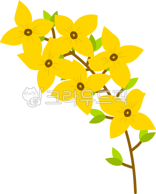 spring,spring flowers,forsythia,flower
