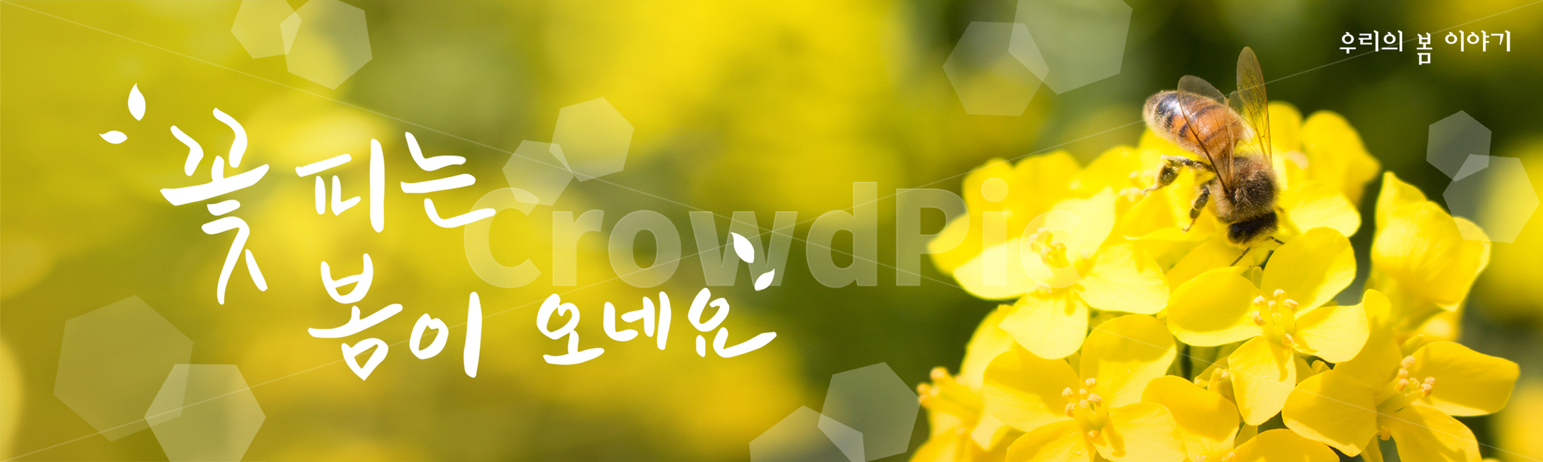 시즌,계절,봄,캘리그라피,캘리,손글씨,편집,배너,웹소스,소스,모바일,팝업,붓글씨,한글,꽃,배경,백그라운드,유채꽃,벌,곤충,봄,계절,spring,season,캘리그라피,손글씨,calligraphy