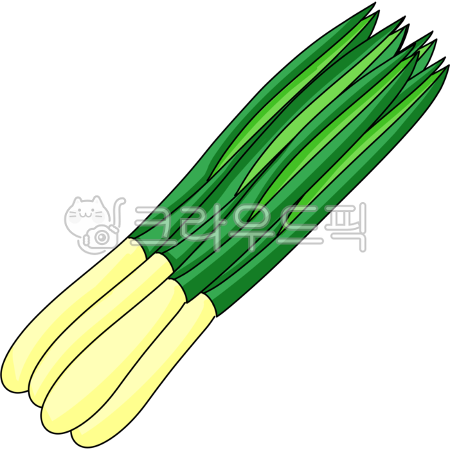 대파, 파, welshonion, food, 음식, 사진,이미지,일러스트,캘리그라피 - 코코0320작가