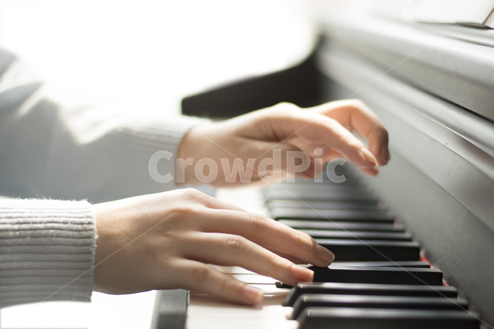 leisureactivities,레저활동,piano,악기,musicalinstrument,피아노,뮤직,hand,피아니스트,음악가,백,손가락,사운드,손,재즈,화음,여자,연주회,공연,연주,악기,음향기기,musical instrument,musical equipment